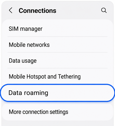 Connections > Roaming