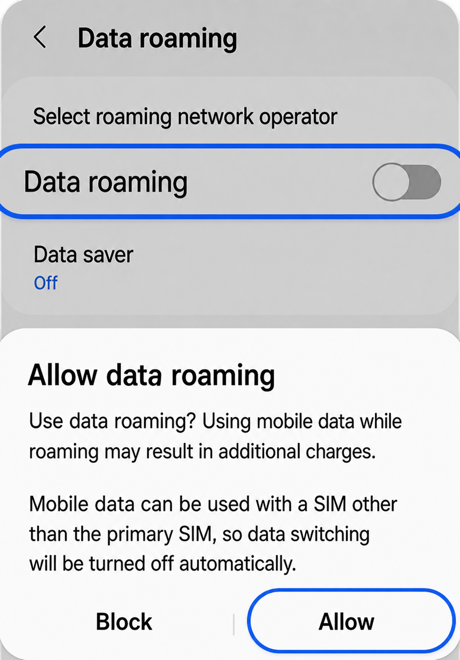 Data roaming allow