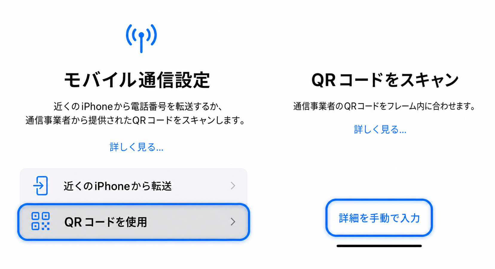 手動入力