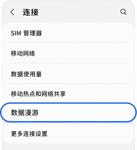 连接 > 漫游
