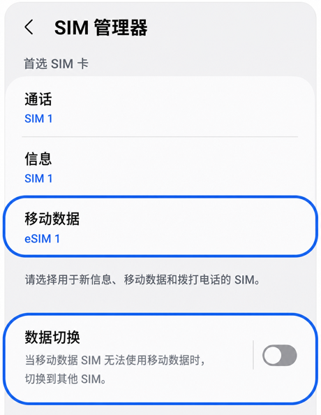 移动数据 = eSIM
