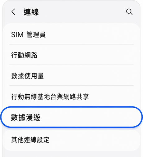 連線 > 漫遊