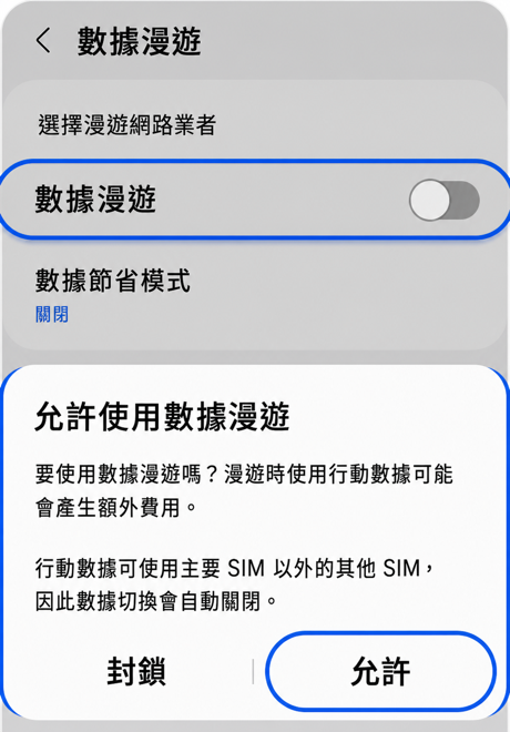 允許資料漫遊