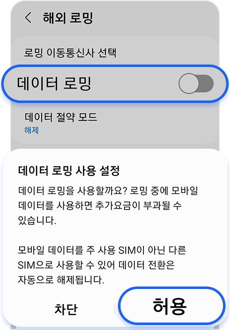 Data roaming allow