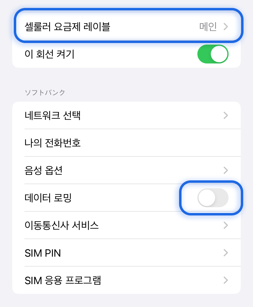Main roaming off